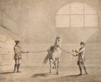 Escuela de entrenamiento Tattersalls de Unbekannt Unbekannt